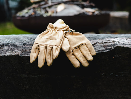 Handschuhe auf Baumstamm liegend