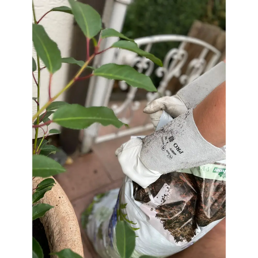 Offene Tasche mit Blumenerde, perfekt für Arbeitshandschuhe Flex HAZI-059 Schutz