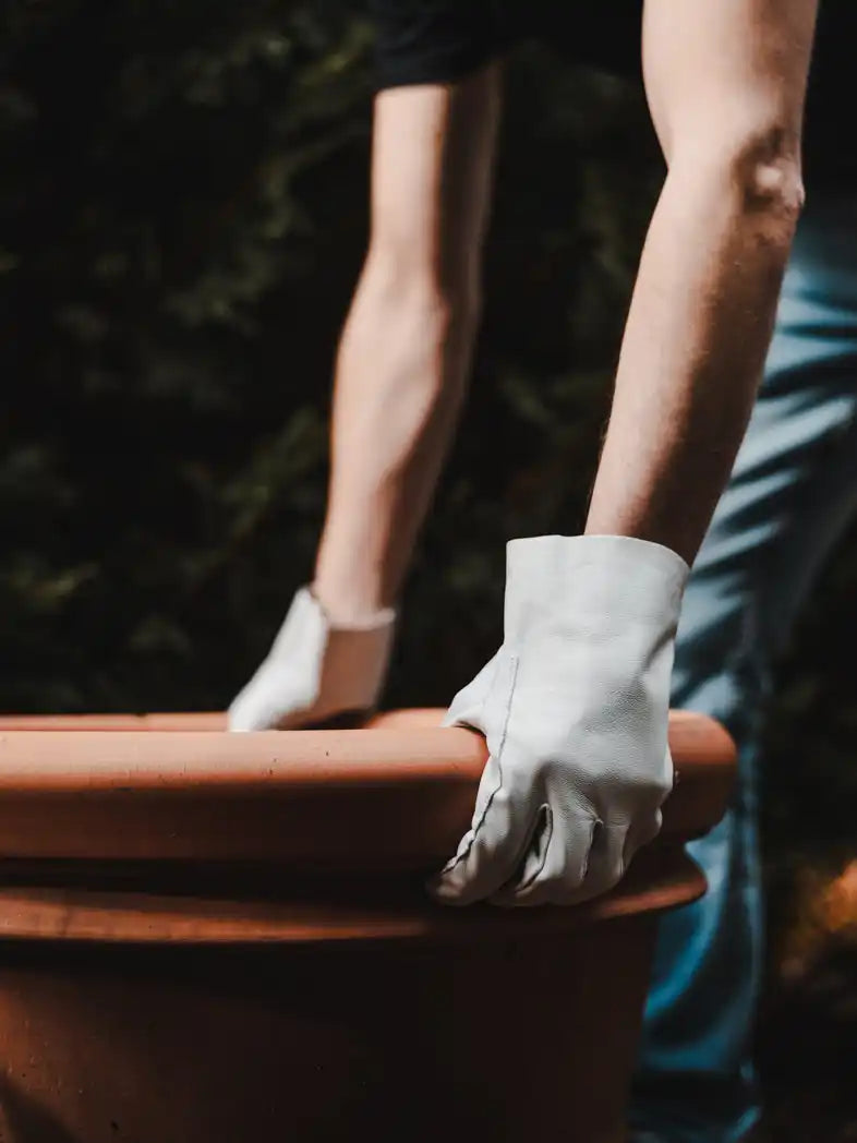 Terrakotta-Blumenkübel mit cremefarbenen Handschuhen.
